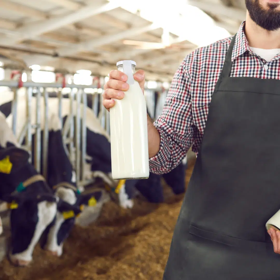 Hormone-free animal products: farmer holding a bottle of milk in a dairy barn to emphasize choosing hormone-free options.