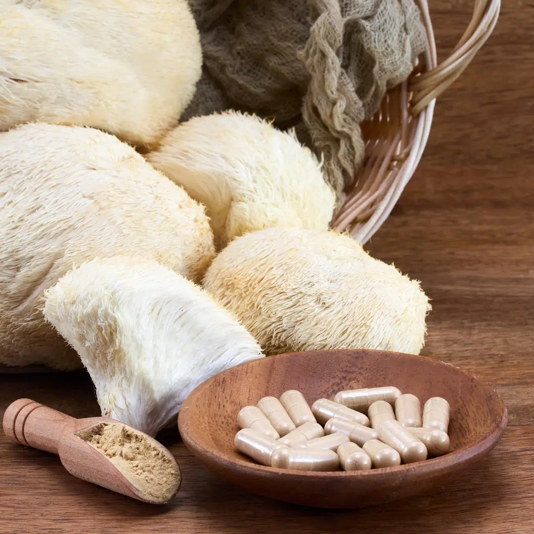 Lion's mane mushroom supplement capsules for brain fog relief and whole mushroom form