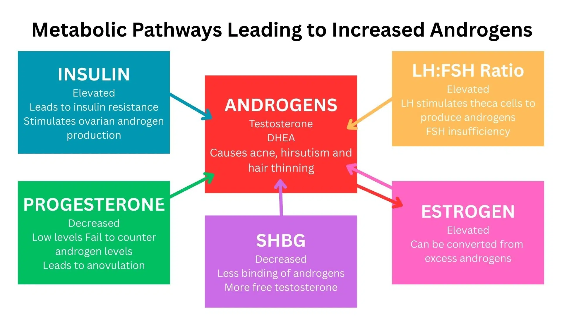 diagrammatic representation showing how different hormones affect the body leading to PCOS development