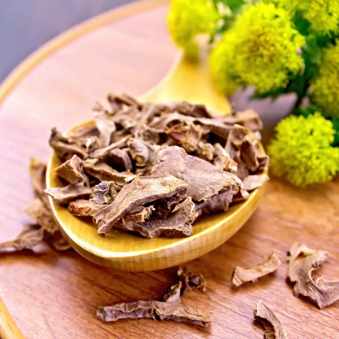 Rhodiola rosea extract to clear brain fog with root and bark on spoon